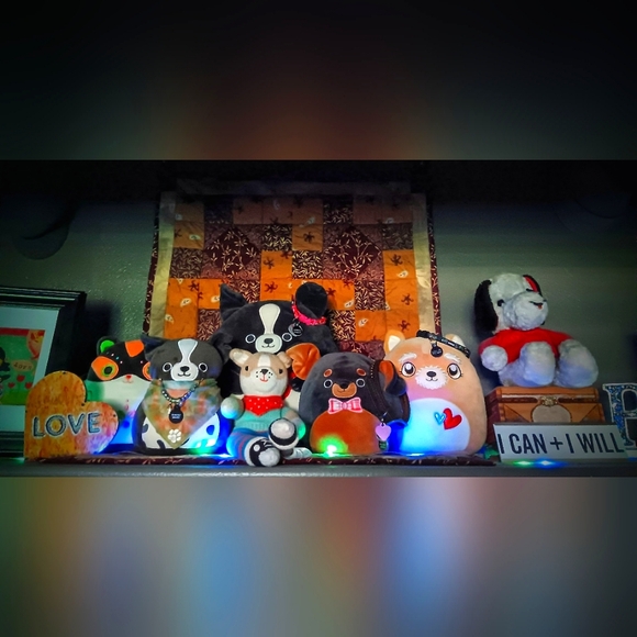 Meet your Posher, Tascha - Picture 9 of 17